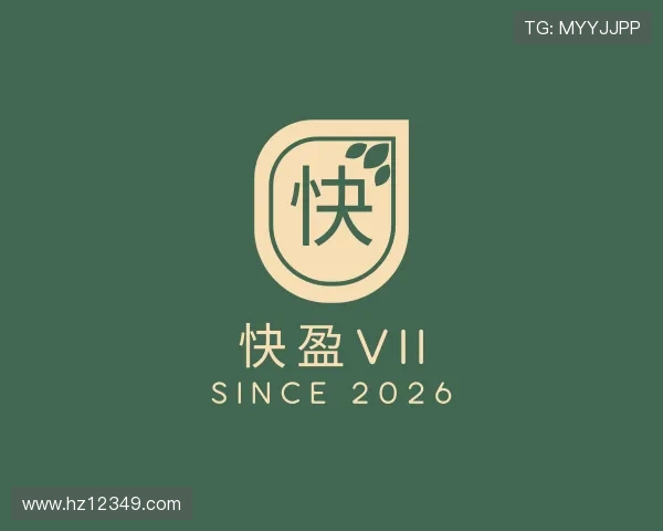 发现快盈VII